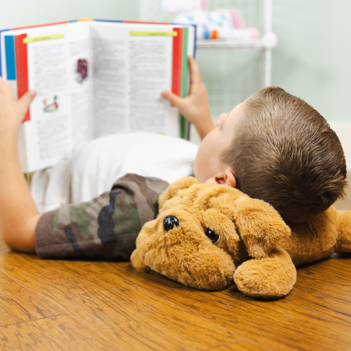 Happy Hugs Weighted Plush Bulldog by Bouncyband®