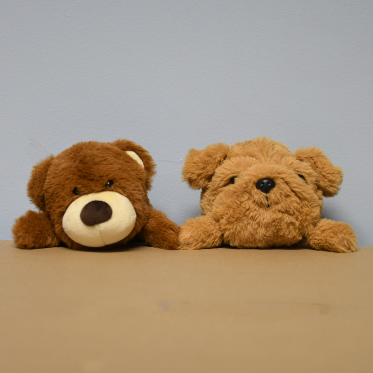 Posture Pets by Bouncyband®