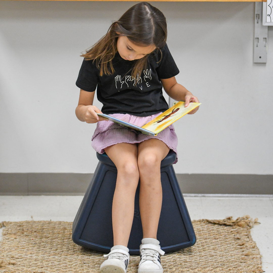 Rocking Saddle Stool by Bouncyband®