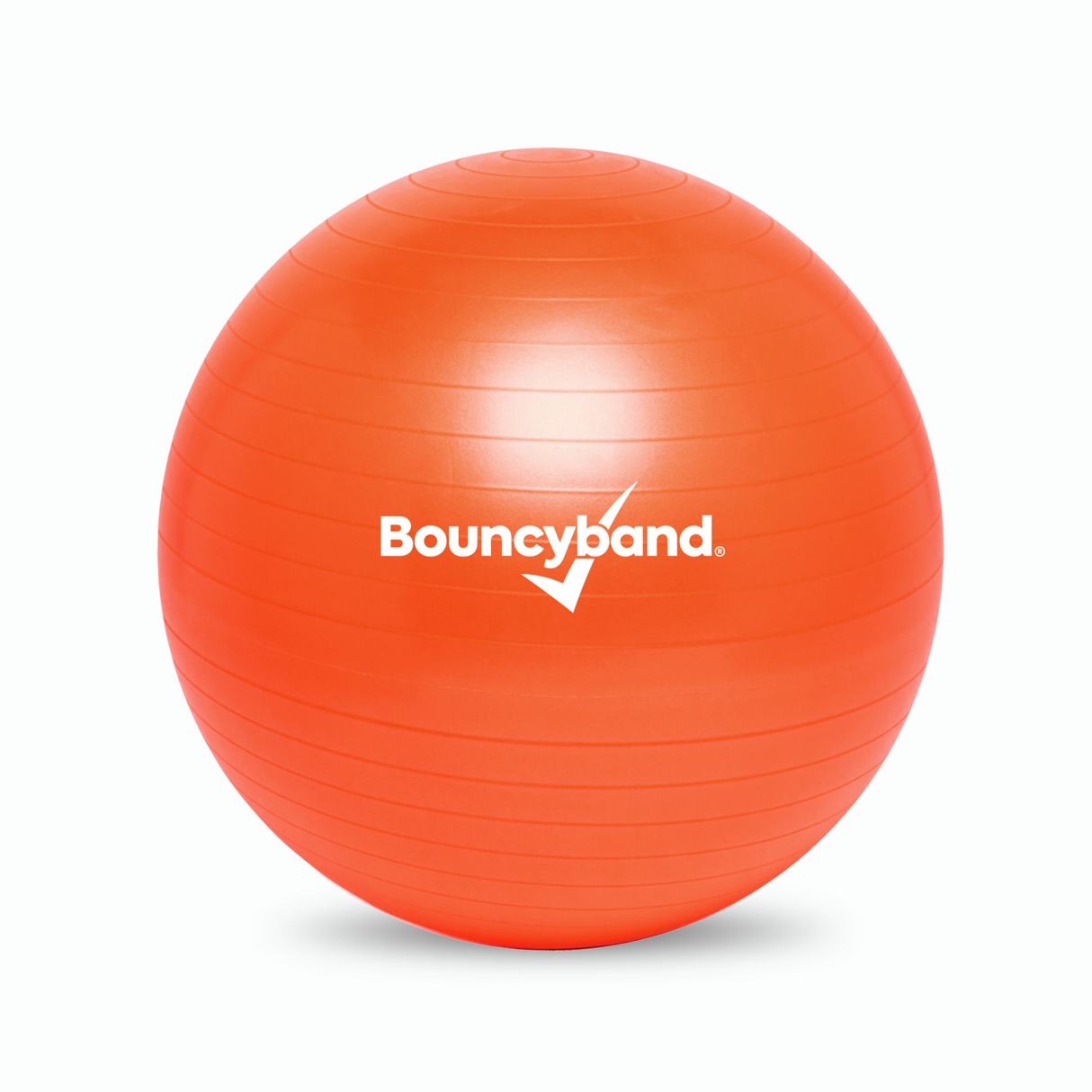 Balance Ball Chair 65cm Non-Rolling for High School Kids by Bouncyband®