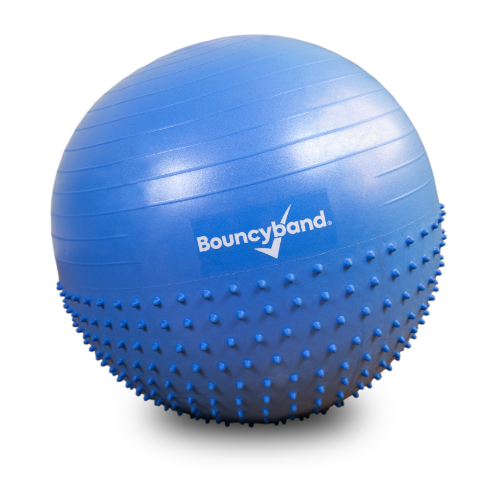 https://bouncyband.com/cdn/shop/products/SRB55BU-DualTexture-Ball-Product1_1024x1024.png?v=1682621200